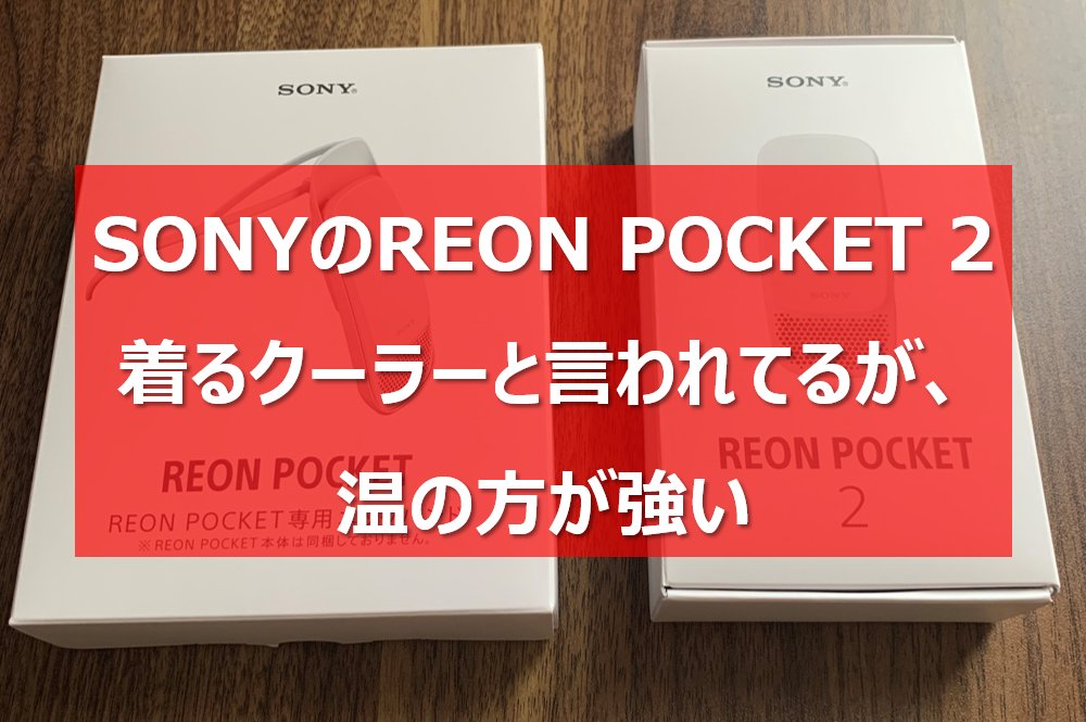 review-reonpocket2